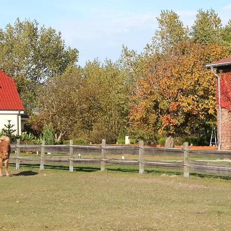 Ferienhof Am Leuchtturm Nr 5 Und 6 Mit Meerblick * Kuehlungsborn